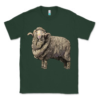 Sports Green merino wool sheep Classic Tee - LillyAllenDesigns