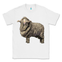 White merino wool sheep Classic Tee - LillyAllenDesigns