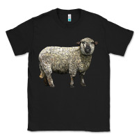 Black hampshire sheep Classic Tee - LillyAllenDesigns