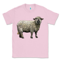 Bubblegum Pink hampshire sheep Classic Tee - LillyAllenDesigns
