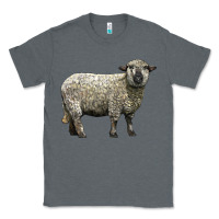 Charcoal Heather hampshire sheep Classic Tee - LillyAllenDesigns