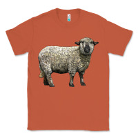 Copper hampshire sheep Classic Tee - LillyAllenDesigns