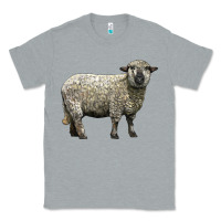 Heather Grey hampshire sheep Classic Tee - LillyAllenDesigns
