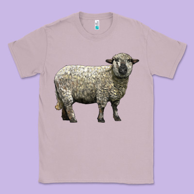 Hampshire Sheep Classic Tee Designed By Lillyallendesigns