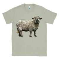 Matcha hampshire sheep Classic Tee - LillyAllenDesigns