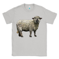 Moon Dust hampshire sheep Classic Tee - LillyAllenDesigns