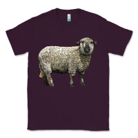 Plum hampshire sheep Classic Tee - LillyAllenDesigns