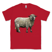 Red hampshire sheep Classic Tee - LillyAllenDesigns