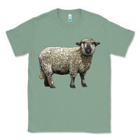 Sage hampshire sheep Classic Tee - LillyAllenDesigns