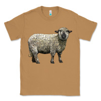 Toasted Coconut hampshire sheep Classic Tee - LillyAllenDesigns