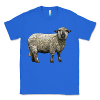 True Royal hampshire sheep Classic Tee - LillyAllenDesigns