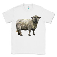 White hampshire sheep Classic Tee - LillyAllenDesigns
