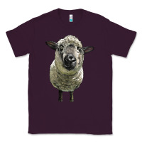 Plum hampshire sheep head Classic Tee - LillyAllenDesigns