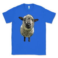True Royal hampshire sheep head Classic Tee - LillyAllenDesigns