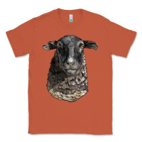 Copper dorper sheep head Classic Tee - LillyAllenDesigns