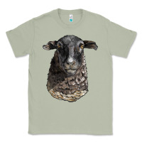 Matcha dorper sheep head Classic Tee - LillyAllenDesigns