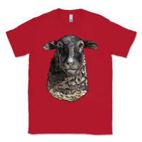 Red dorper sheep head Classic Tee - LillyAllenDesigns