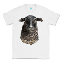 White dorper sheep head Classic Tee - LillyAllenDesigns
