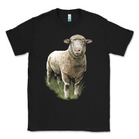 Black dorset sheep Classic Tee - LillyAllenDesigns