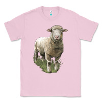 Bubblegum Pink dorset sheep Classic Tee - LillyAllenDesigns