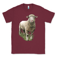 Dorset Sheep Classic Tee | Teevron