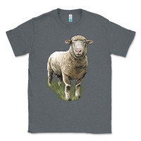 Charcoal Heather dorset sheep Classic Tee - LillyAllenDesigns