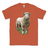 Copper dorset sheep Classic Tee - LillyAllenDesigns