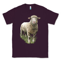 Plum dorset sheep Classic Tee - LillyAllenDesigns
