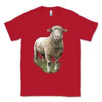 Red dorset sheep Classic Tee - LillyAllenDesigns