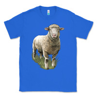 True Royal dorset sheep Classic Tee - LillyAllenDesigns