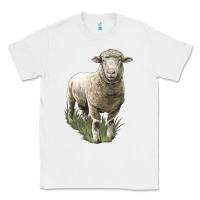 White dorset sheep Classic Tee - LillyAllenDesigns