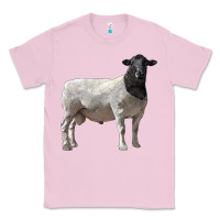 Bubblegum Pink dorper sheep Classic Tee - LillyAllenDesigns