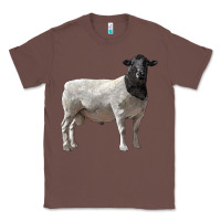 Chestnut dorper sheep Classic Tee - LillyAllenDesigns
