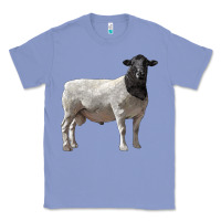 Colony Blue dorper sheep Classic Tee - LillyAllenDesigns