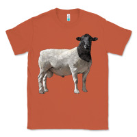 Copper dorper sheep Classic Tee - LillyAllenDesigns