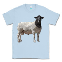 Dusty Blue dorper sheep Classic Tee - LillyAllenDesigns