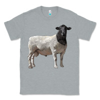 Heather Grey dorper sheep Classic Tee - LillyAllenDesigns