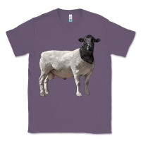 Lavender dorper sheep Classic Tee - LillyAllenDesigns
