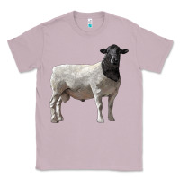 Lilac dorper sheep Classic Tee - LillyAllenDesigns