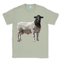 Matcha dorper sheep Classic Tee - LillyAllenDesigns