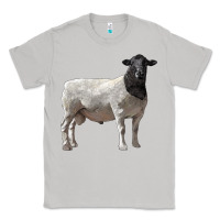 Moon Dust dorper sheep Classic Tee - LillyAllenDesigns