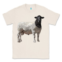 Natural dorper sheep Classic Tee - LillyAllenDesigns