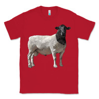 Red dorper sheep Classic Tee - LillyAllenDesigns