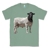 Sage dorper sheep Classic Tee - LillyAllenDesigns
