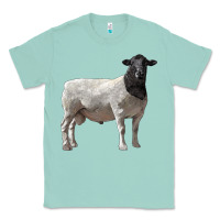 Seafoam dorper sheep Classic Tee - LillyAllenDesigns
