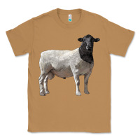 Toasted Coconut dorper sheep Classic Tee - LillyAllenDesigns