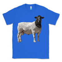 True Royal dorper sheep Classic Tee - LillyAllenDesigns