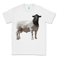 White dorper sheep Classic Tee - LillyAllenDesigns