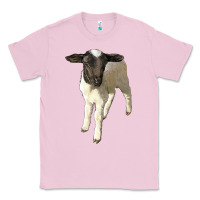 Bubblegum Pink dorper baby sheep Classic Tee - LillyAllenDesigns