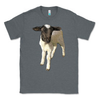 Charcoal Heather dorper baby sheep Classic Tee - LillyAllenDesigns
